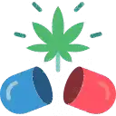 Health Benefits Icon