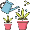 Growing Icon
